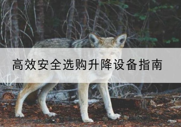 建阳升降货梯厂家推荐-*安全选购升降设备指南