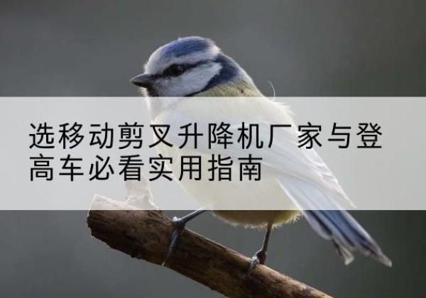 建阳电动升降机厂家-选移动剪叉升降机厂家与登高车必看实用指南