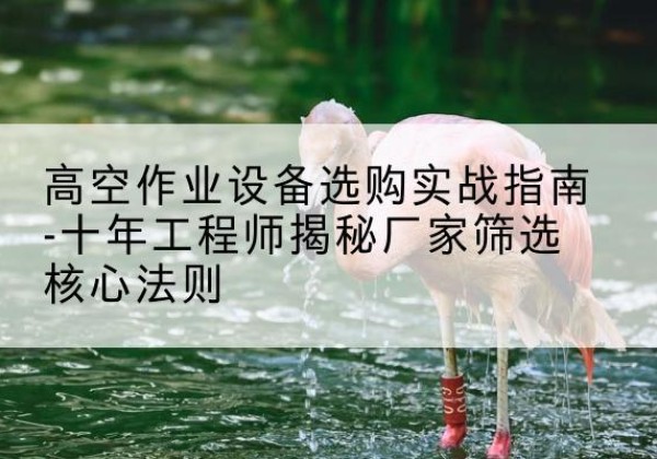 建阳剪叉式升降机厂家-高空作业设备选购实战指南-十年工程师揭秘厂家筛选核心法则